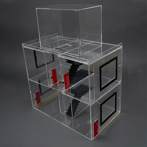 Experimental Model